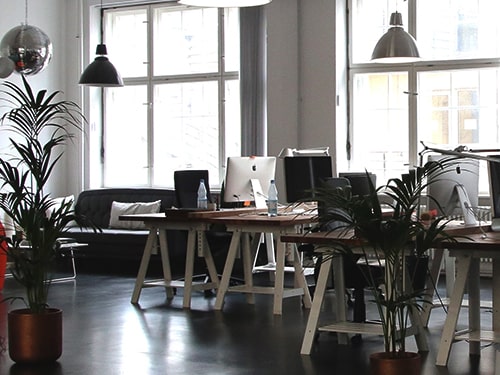 michaelsoft-dds+-corporate